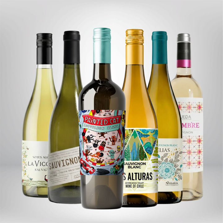 Tasting Sauvignon Blanc 12 bottles case