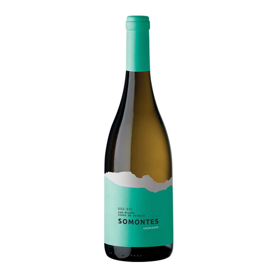 Somonte Encruzado White