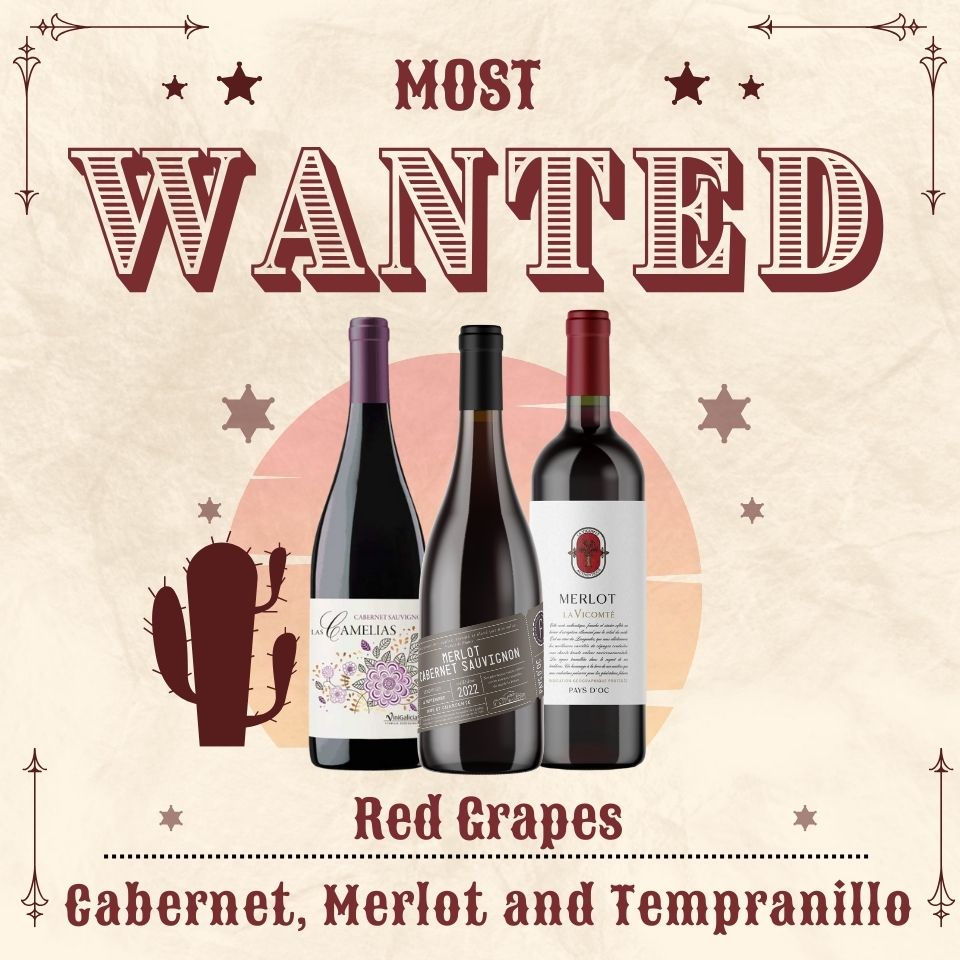 Most Wanted Red 12 bottles case