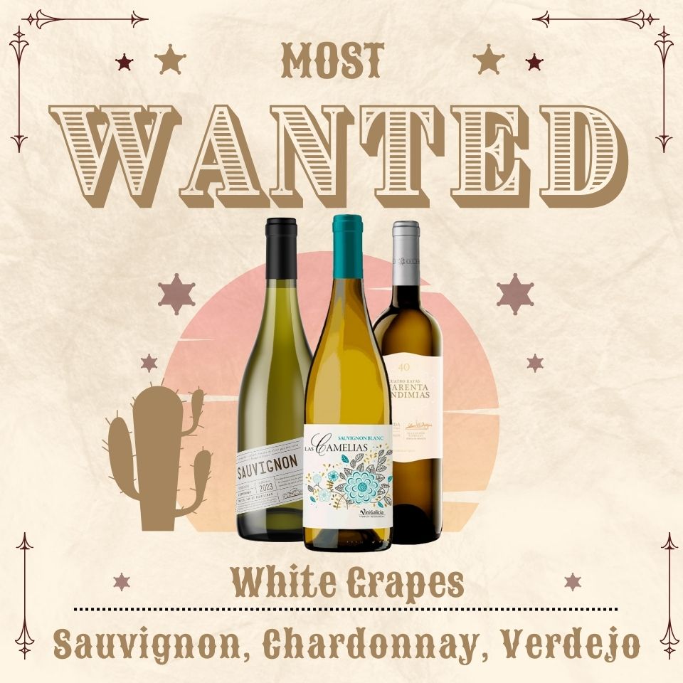 Most Wanted White 12 bottles case