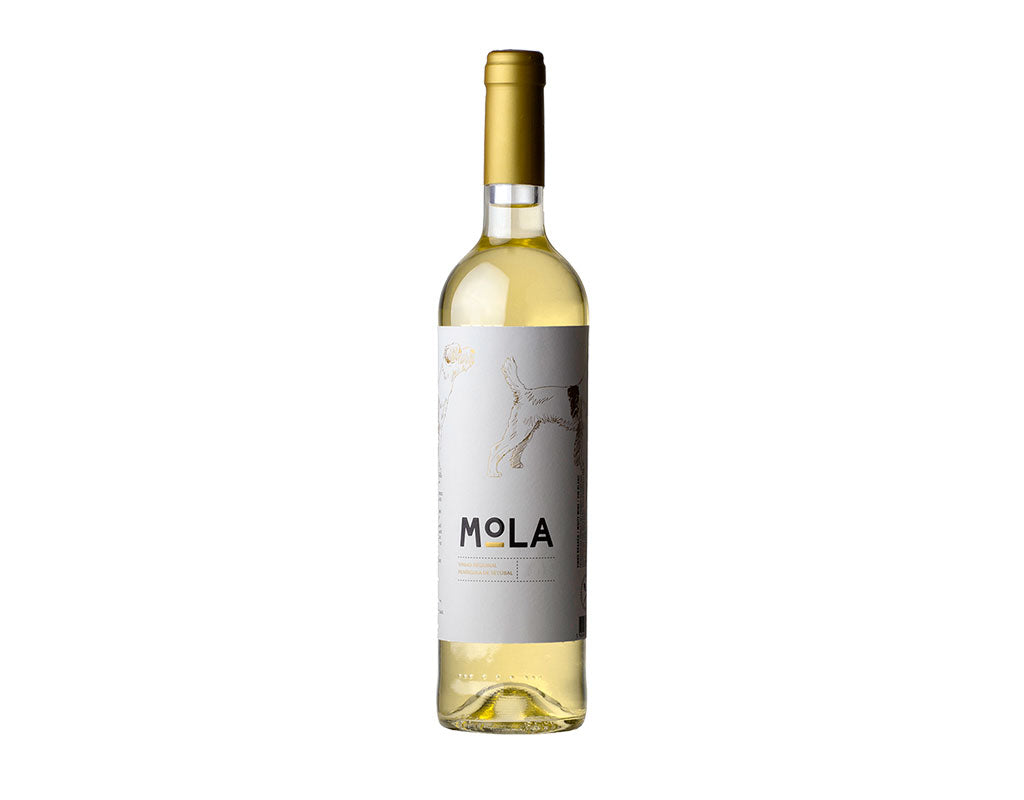 Mola Branco