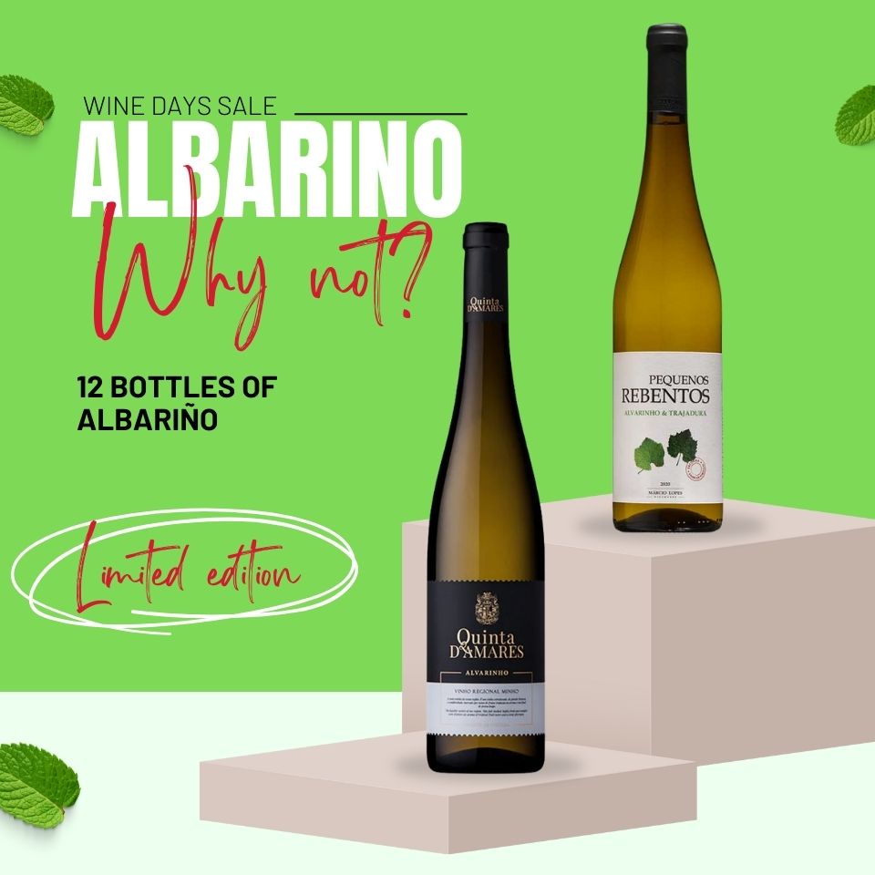 Albariño Why Not? 12 bottles case