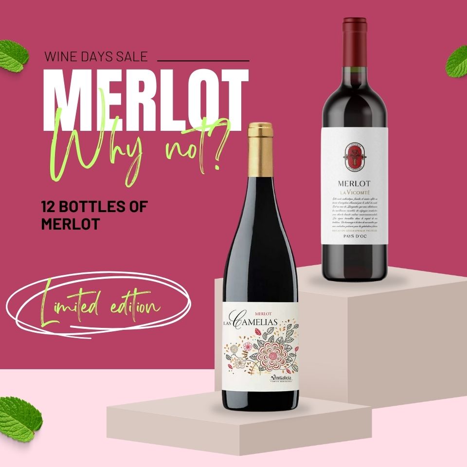Merlot Why Not? 12 bottles case
