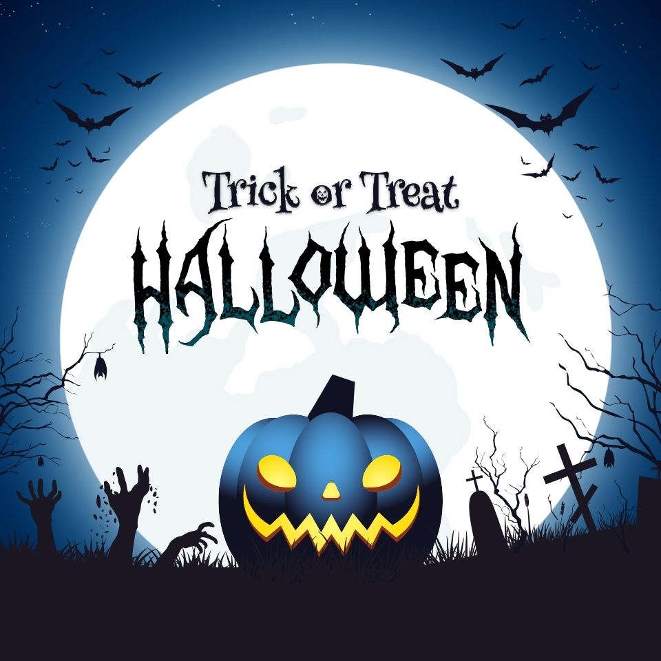 Treat 12 Bottles Case