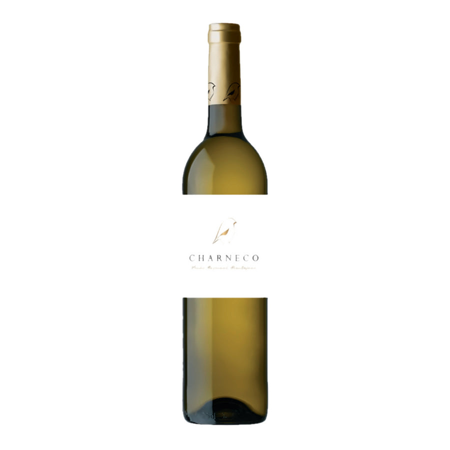 Charneco White