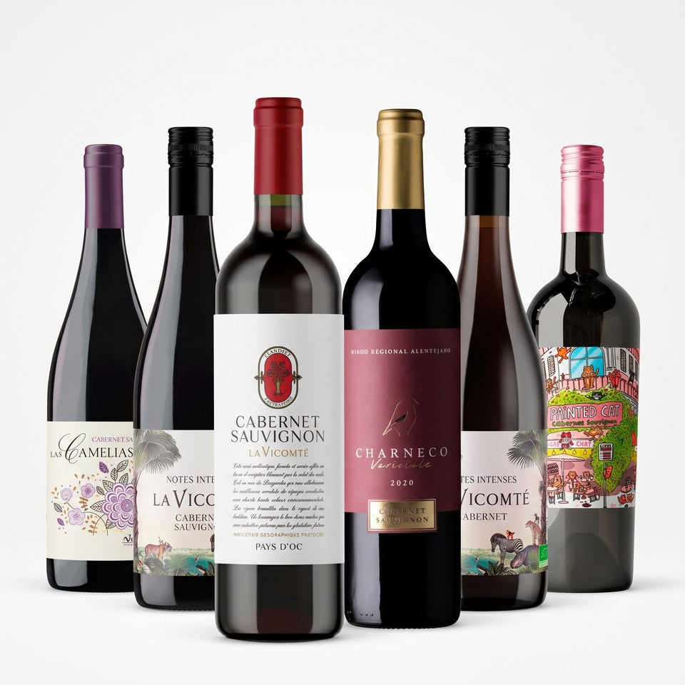 Tasting Cabernet Sauvignon 12 bottles case