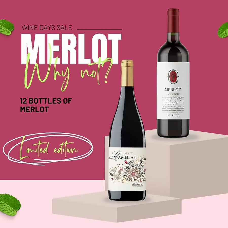 Merlot Why Not? 12 bottles case
