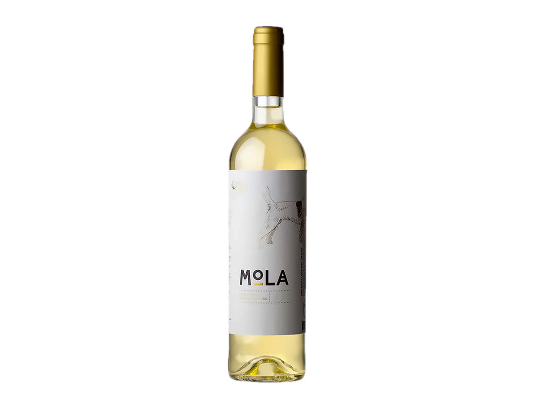 Mola Branco