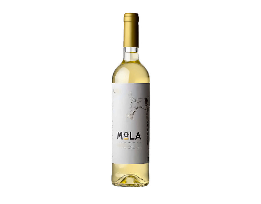 Mola Branco