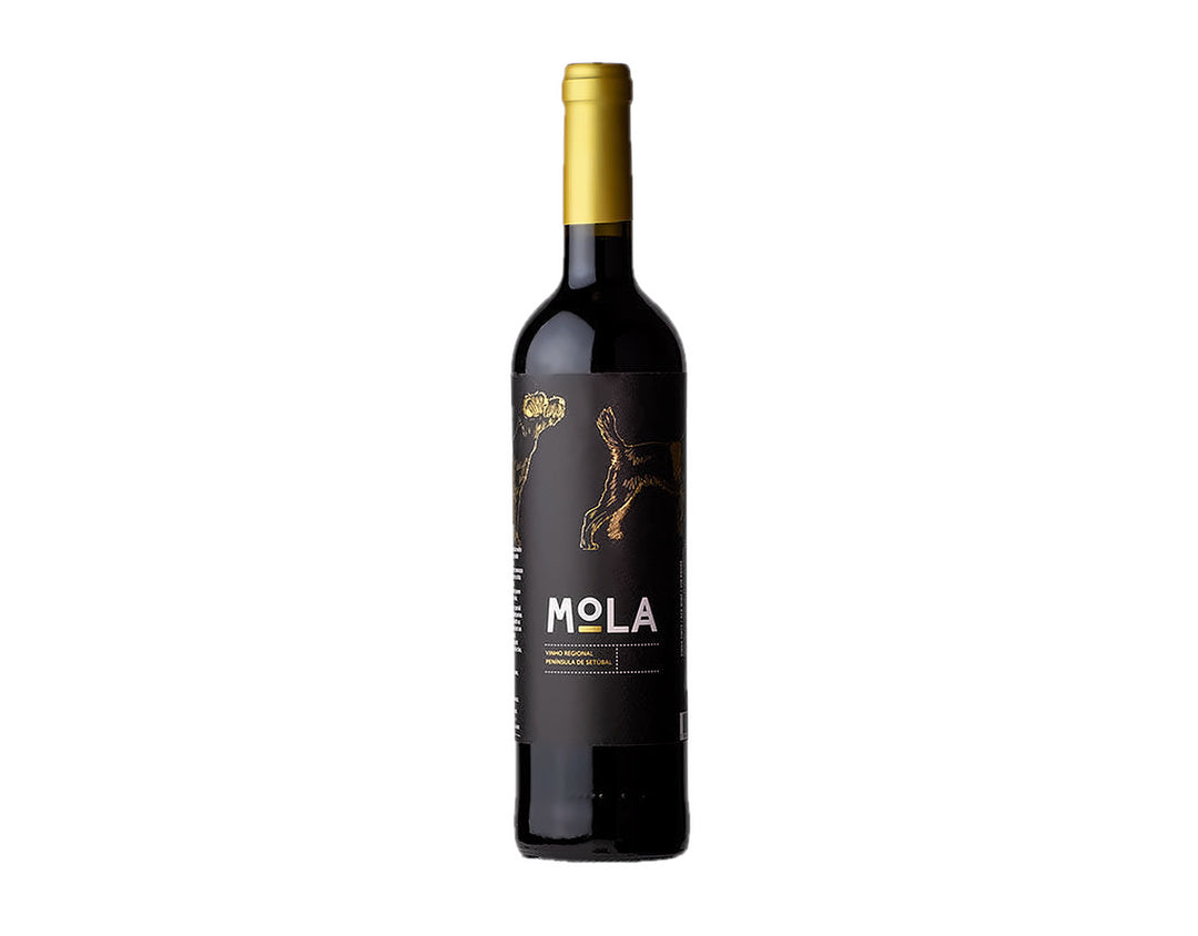 Mola Tinto