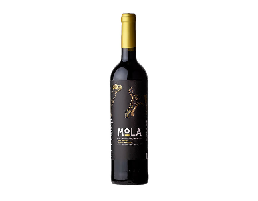 Mola Tinto