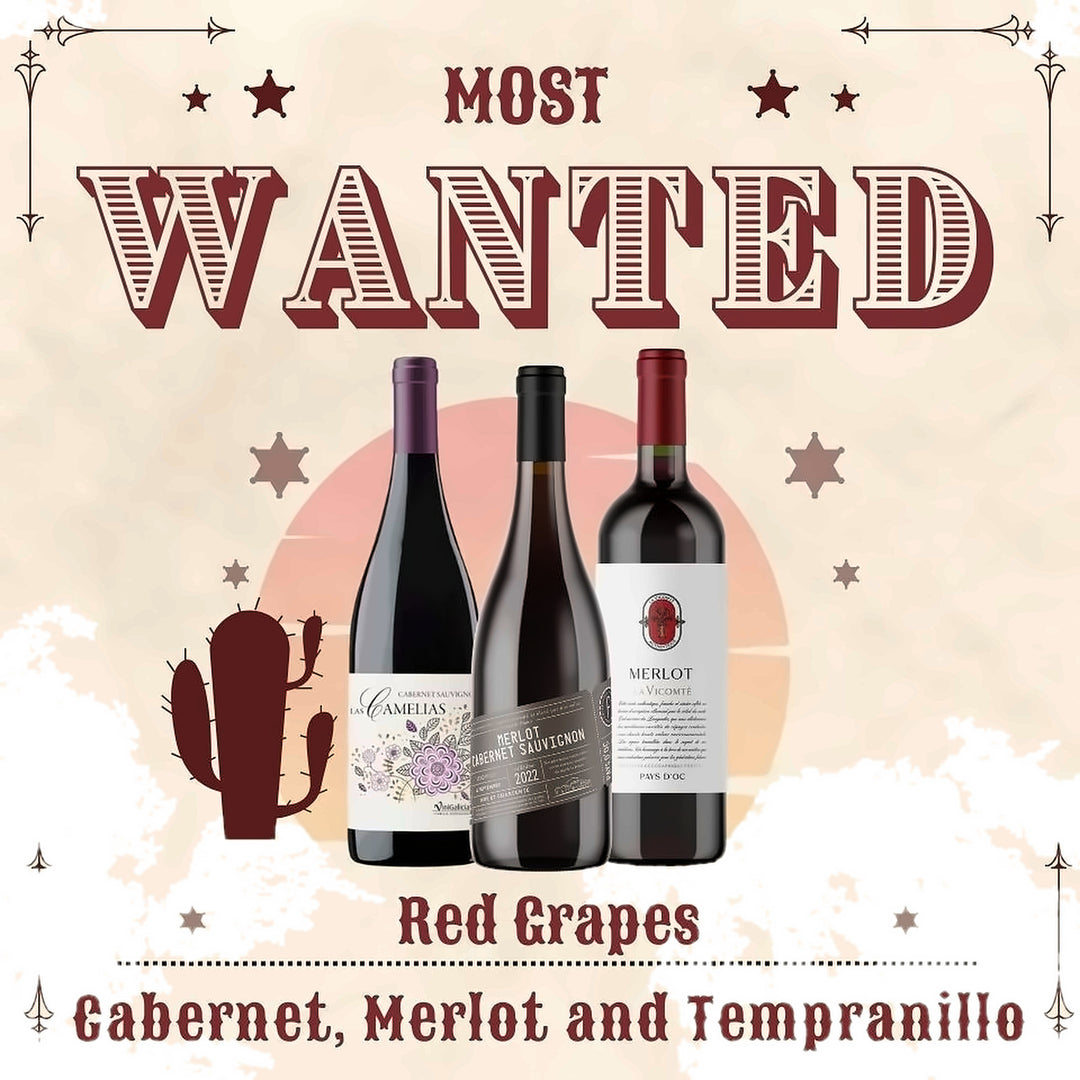 Most Wanted Red 12 bottles case