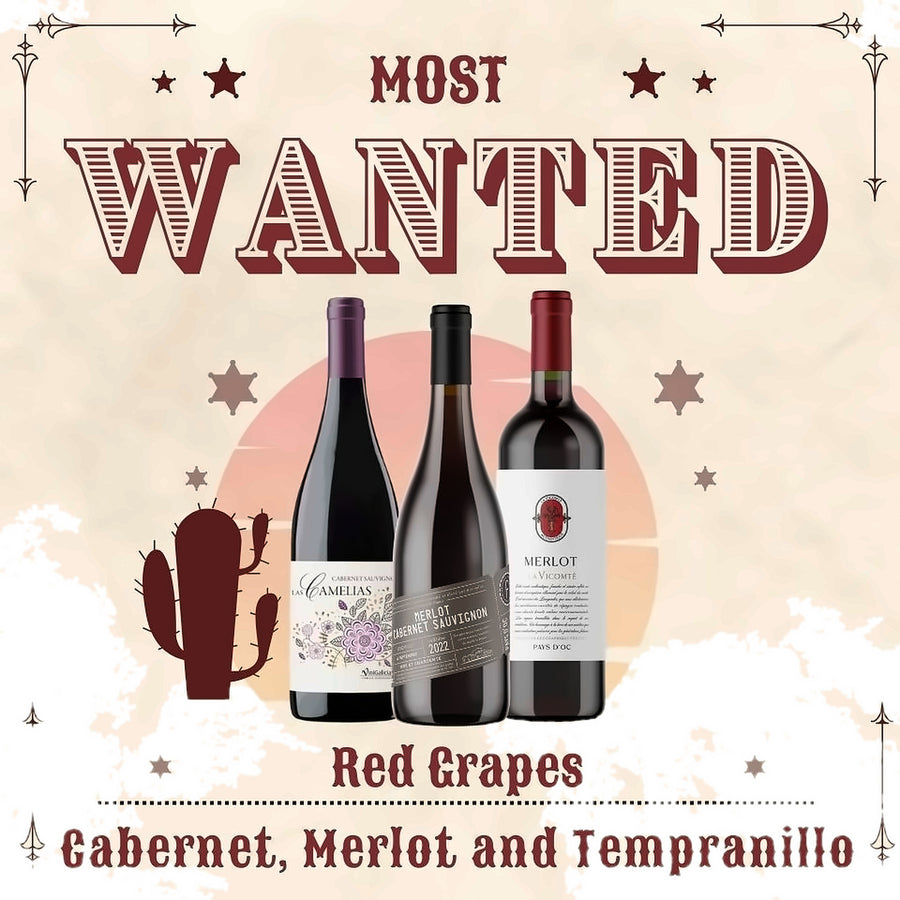 Most Wanted Red 12 bottles case