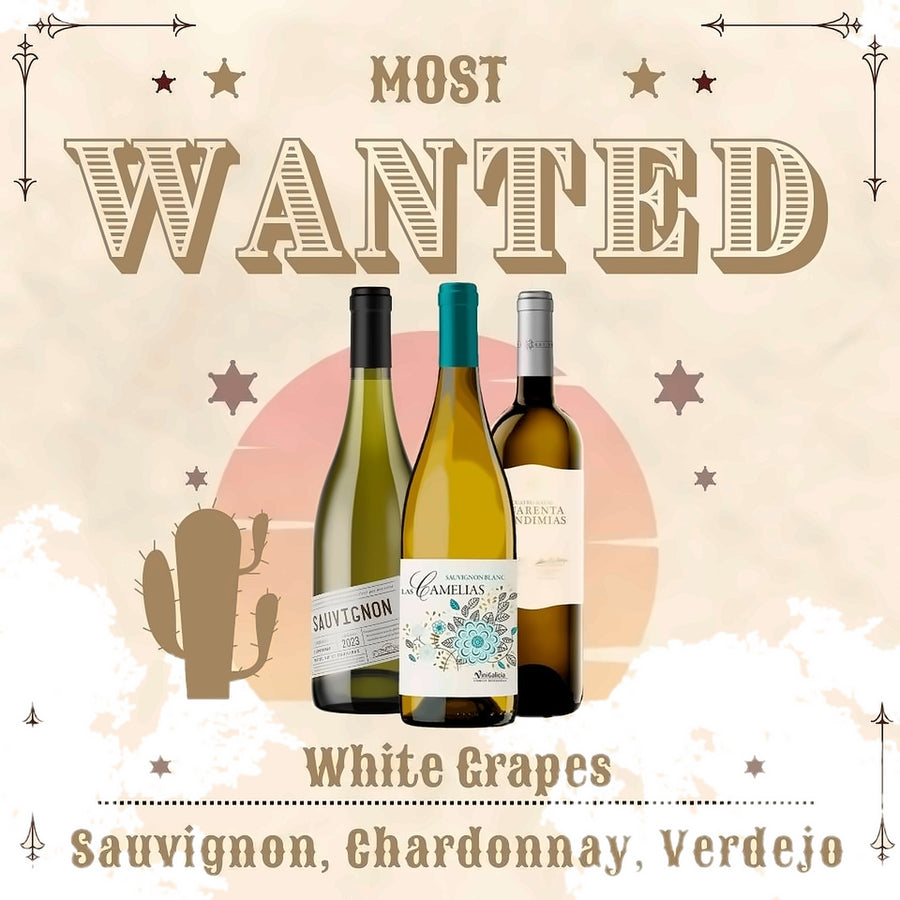 Most Wanted White 12 bottles case
