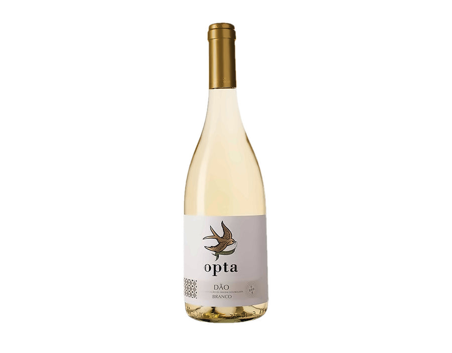 Opta Branco