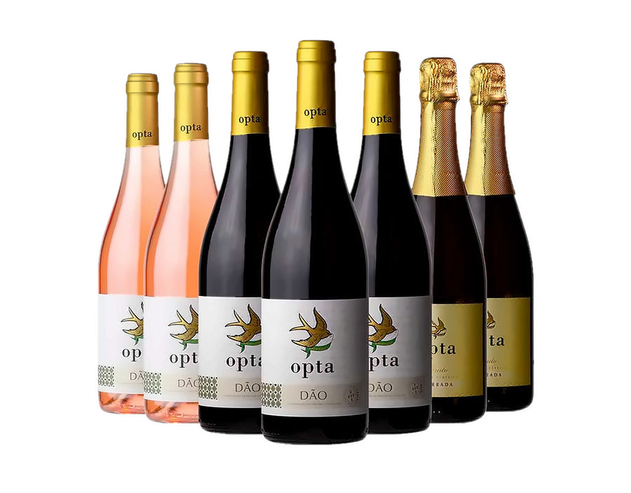 Opta tasting Box