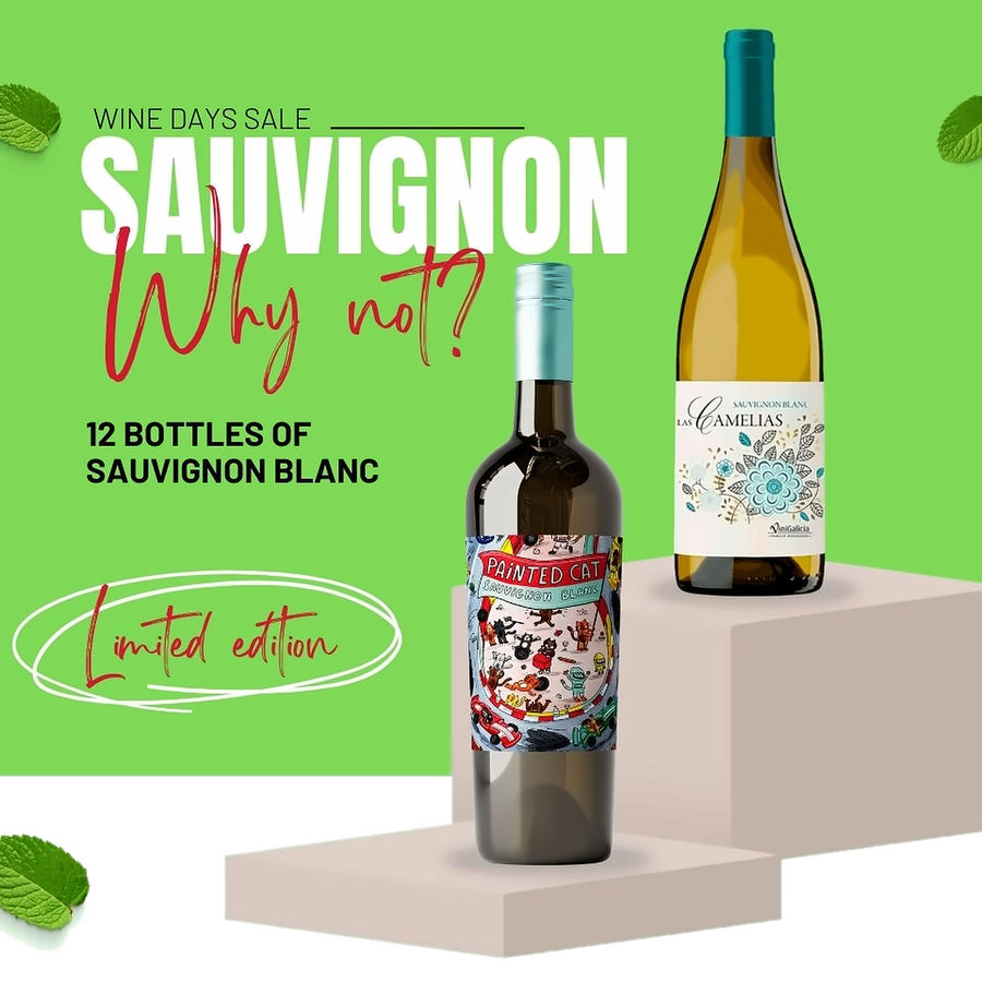 Sauvignon Blanc Why Not? 12 bottles case
