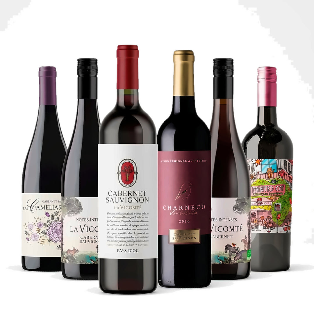 Tasting Cabernet Sauvignon 12 bottles case
