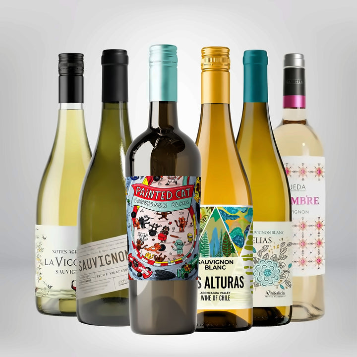 Tasting Sauvignon Blanc 12 bottles case