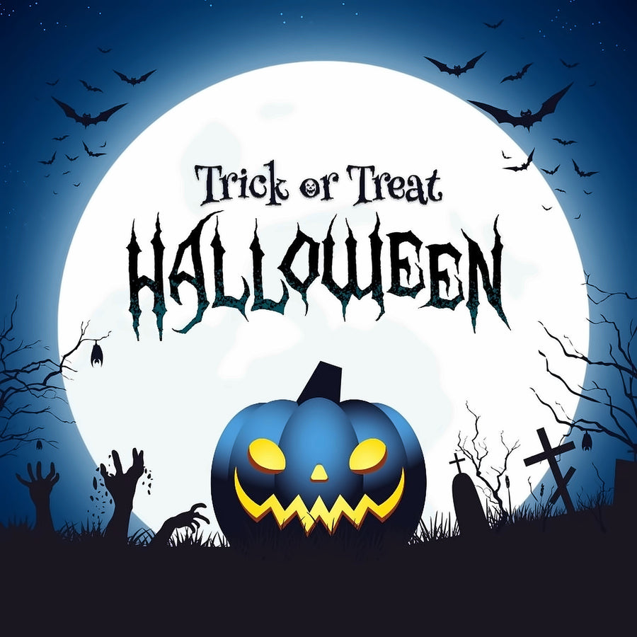Treat 12 Bottles Case